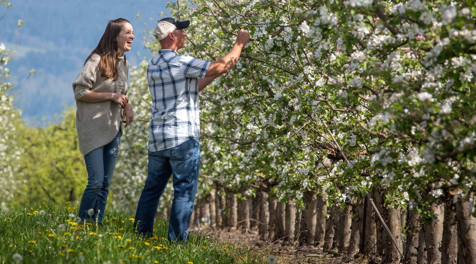 Dave Gee, Oregon Growers founder, with a staff member inspecting an orchard for NON GMO compliance.