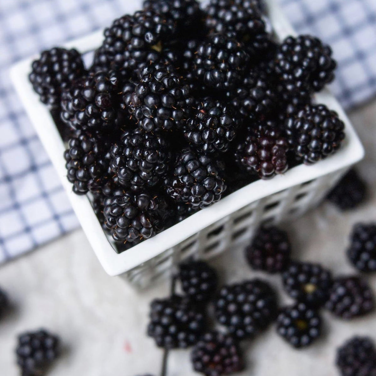 Marionberry Jam