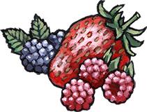Graphical Page Divider - Strawberry